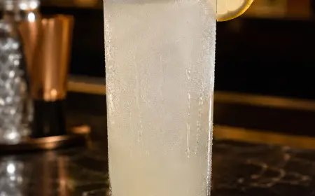 Gin Fizz Cocktail Recipe with SOP, Garnish & Presentation Guide