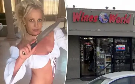 Britney Spears Restaurant Incident: Team Hits Back at Widespread Rumors