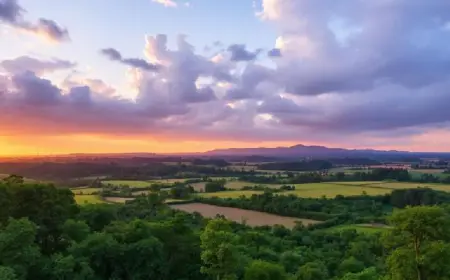 East Africa Hospitality Investment Growth Surges