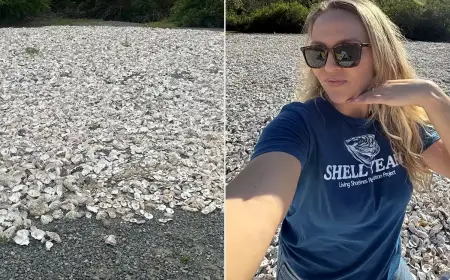Kenney Started Collecting Oyster Shells from Restaurant Kitchens Every Morning. Her Pile Just Crossed 24,000 Pounds