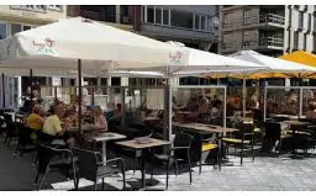 Paws and Platters: Brassi Beach Terrace: A Bistro for Dogs in Belgium Redefines Pet Hospitality