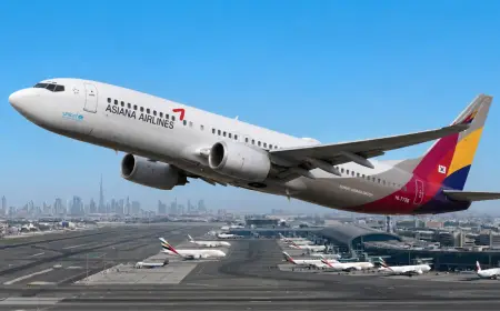 Korean Air Pilots Set Off New Merger Controversy