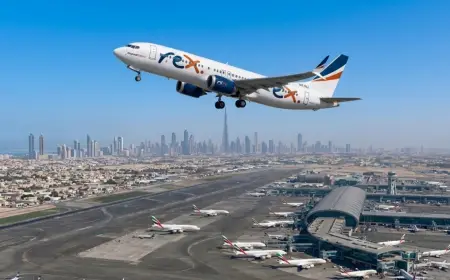 Rex Airlines Chairman Under Fire After Misleading Market Admission
