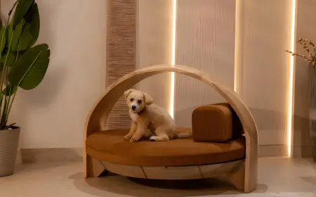 UCUORO Pet Furniture Launches Luxury Collection