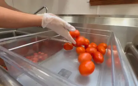 Tomato Price Spike Squeezes Cafe Mexicali and Northern Colorado Restaurants