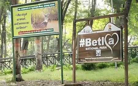 NGT Issue Notice Over Illegal Hotels Near Tiger Reserve