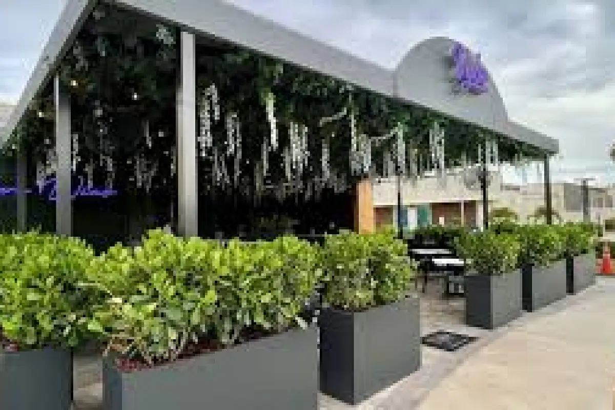 Vybe Opens at Bell Tower in South Fort Myers as Harold Balink's Sixth Restaurant