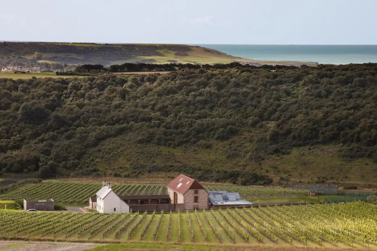 Rathfinny Wine Estate Launches London Restaurant Takeovers