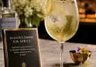 Elderflower Gin Spritz Cocktail Recipe with SOP, Garnish & Presentation Guide