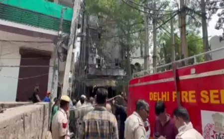 Ten Die in Malviya Nagar Restaurant Fire as Delhi Fire Service Rescues 11