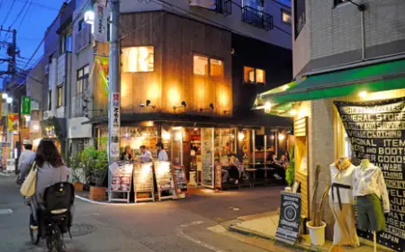 Japan's Izakaya Pubs Close at Fastest Rate Since 1989