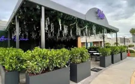 Vybe Opens at Bell Tower in South Fort Myers as Harold Balink's Sixth Restaurant