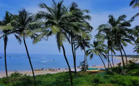 Kerala tourists fall ill in Goa with suspected food poisoning