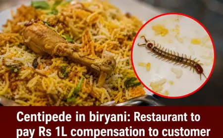 Centipede in biryani: Restaurant pays Rs 1L compensation in food safety case