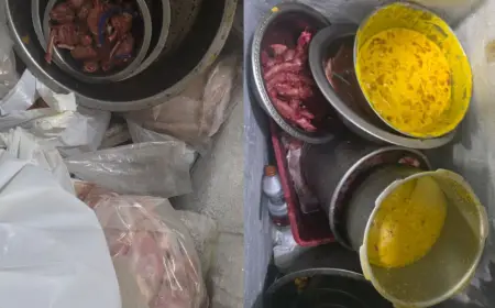 Royal Spice Restaurant in Gachibowli shuts over serious food safety breaches