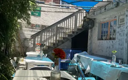 Southern Living Spotlights Opa Greek Restaurant in Chattanooga