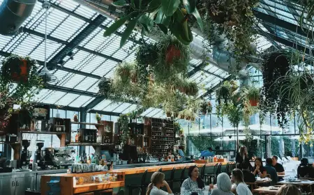 Delhi NCR Welcomes New Restaurants Opening in May–June 2026