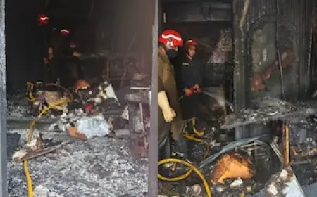 Delhi Restaurant Fire: What Happened at Satya Niketan This Morning?