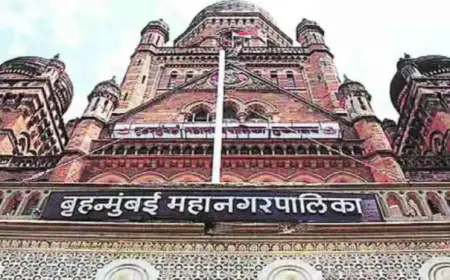 High Court defers BMC move to revoke Kalidas complex restaurant nod