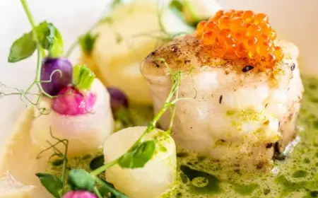 Michelin Guide 2026: LA Jordan Joins the Elite as Rhineland-Palatinate Keeps 21 Stars