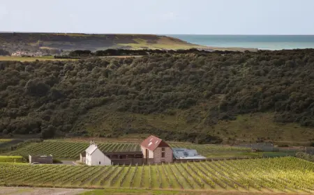 Rathfinny Wine Estate Launches London Restaurant Takeovers