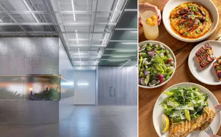 Oberon Opens at New Museum as Manhattan Dining Destination