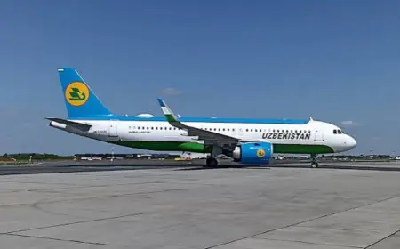 Uzbekistan Airways IPO Faces Delay Over Efficiency