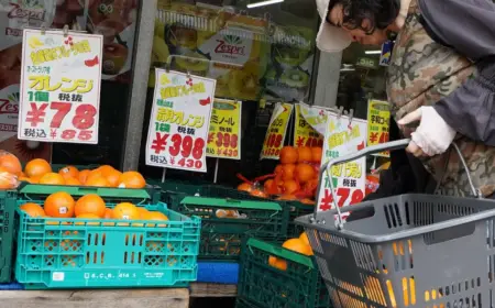 Japan Tax News 2027: Shocking Food Tax Cut to Just 1%