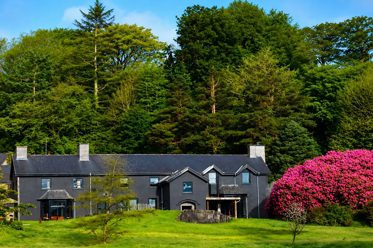 Ynyshir Restaurant Hygiene Rating: Remarkable Comeback in Wales