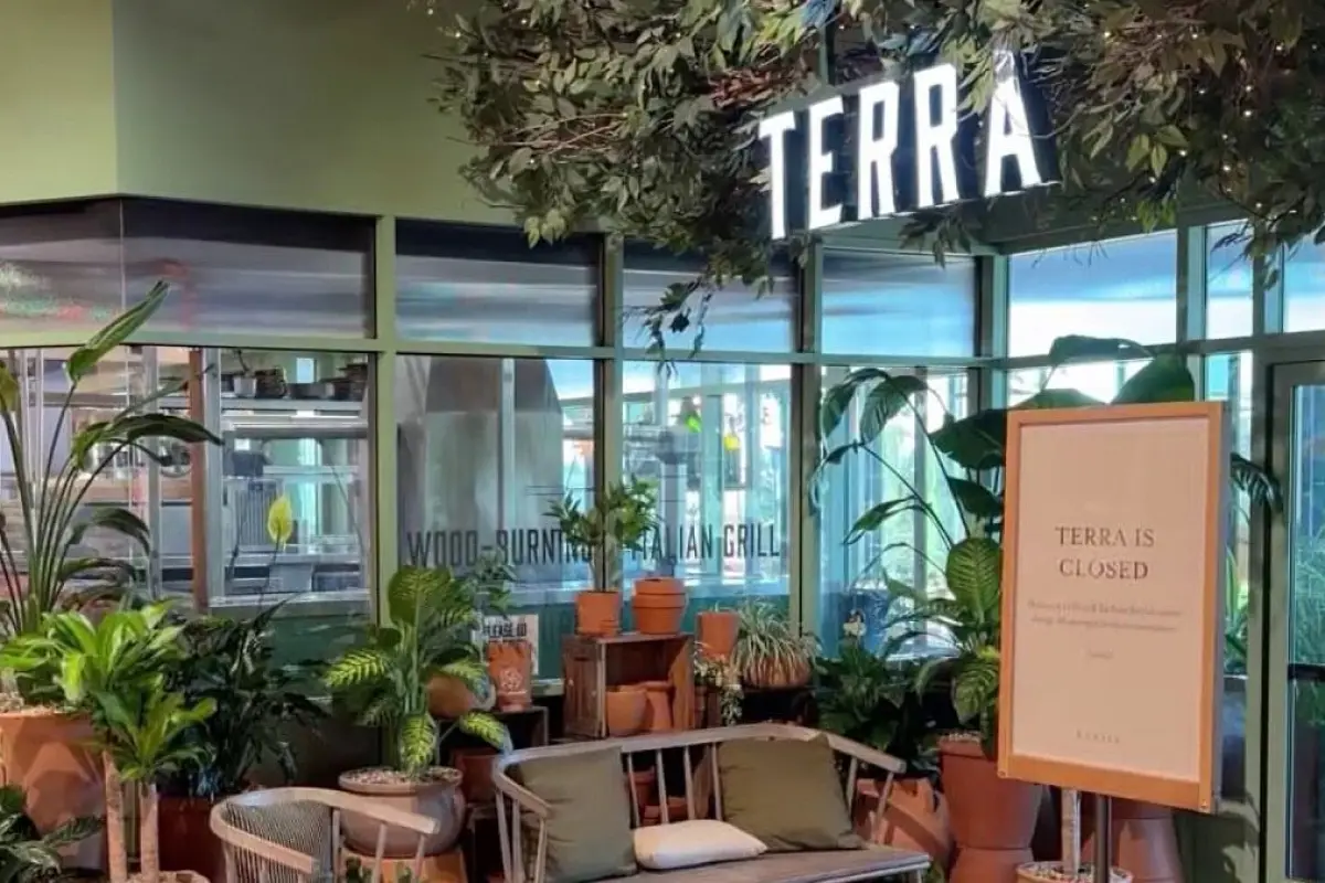 Terra Restaurant San Jose Closure Exposed Vermin Issue