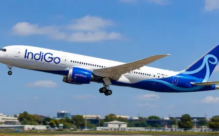 IndiGo Puts New Aircraft Orders on Hold Until 2030