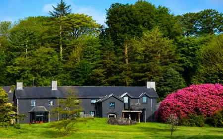 Ynyshir Restaurant Hygiene Rating: Remarkable Comeback in Wales