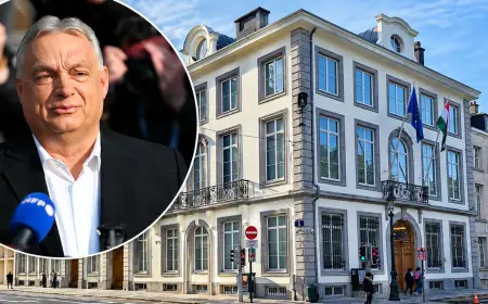 Orbán Government Brussels Restaurant: Shocking €20M Scandal Revealed