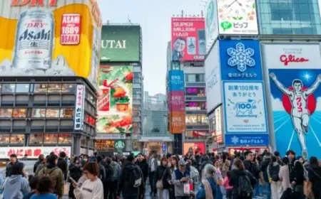 Osaka Restaurant Fights to Survive as Tourists Vanish