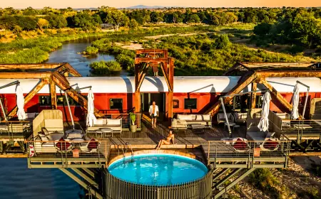 Best Hotel Pools in the World: 5 Ranked Properties