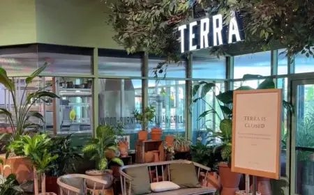 Terra Restaurant San Jose Closure Exposed Vermin Issue