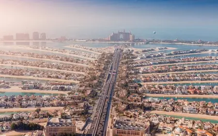 Tumbi Hotel Palm Jumeirah Sale Denied Amid Broker Material