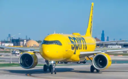 Spirit Airlines $10M Google Deal Faces Privacy Questions