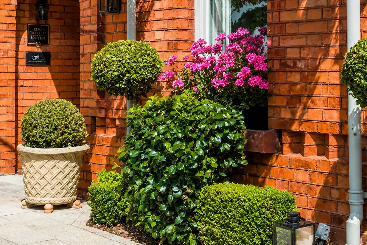 The Wilder Townhouse Dublin Unveils Victorian Serenity