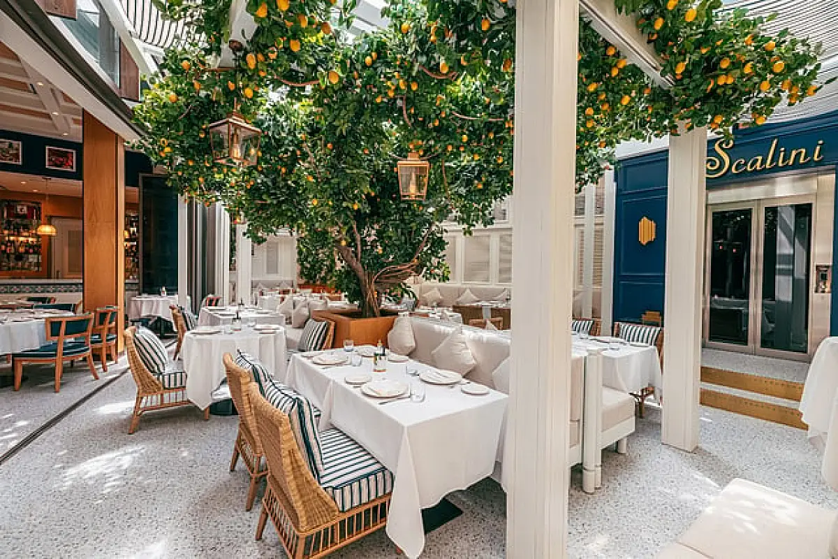Dubai Restaurants 2026: Best New Openings This Season