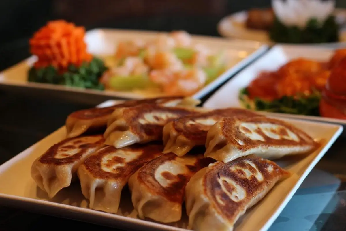 TaiKouRou Tokyo: Jumbo Gyoza Mastery Perfected Daily