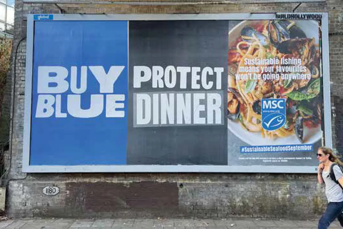 MSC Sustainable Fisheries: Ocean Leadership Transforms Global Seafood Industry