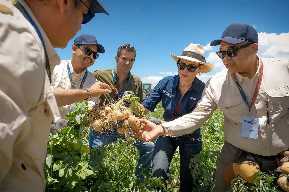PepsiCo Global Potato Expertise Shared Through Agro University