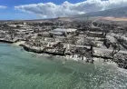 Maui County Hotel Lease: Recovery Housing Extended for Wildfire Survivors