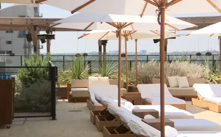1 Hotel Austin: Luxury Reimagined Through Sustainability
