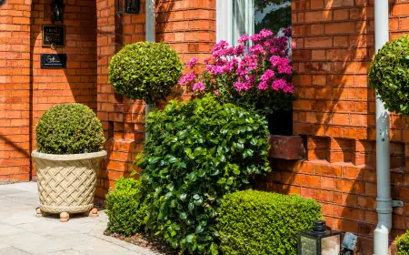 The Wilder Townhouse Dublin Unveils Victorian Serenity