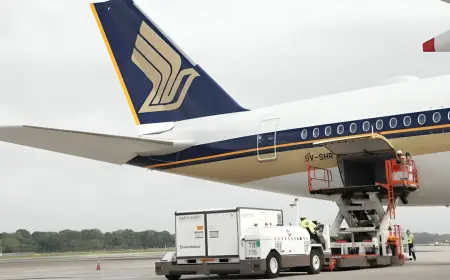 Singapore Won’t Interfere in SIA’s Air India Funding Decision