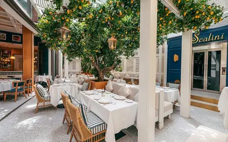 Dubai Restaurants 2026: Best New Openings This Season