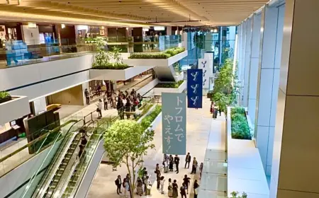 TOFROM YAESU TOWER Tokyo Set to Open at Tokyo Station