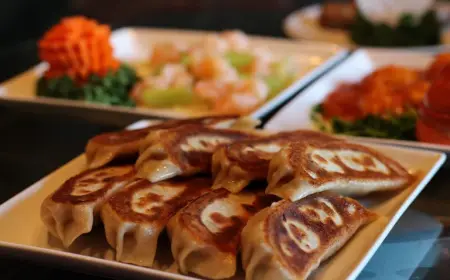 TaiKouRou Tokyo: Jumbo Gyoza Mastery Perfected Daily